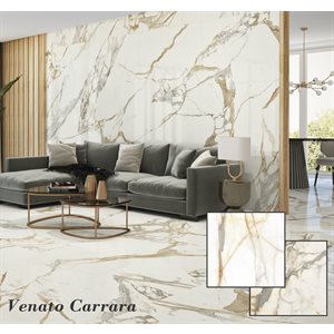 01-Série Venato Carrara * 24x24 